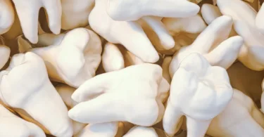 white flower petals on white textile