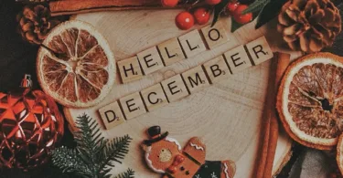 A table topped with oranges and pine cones